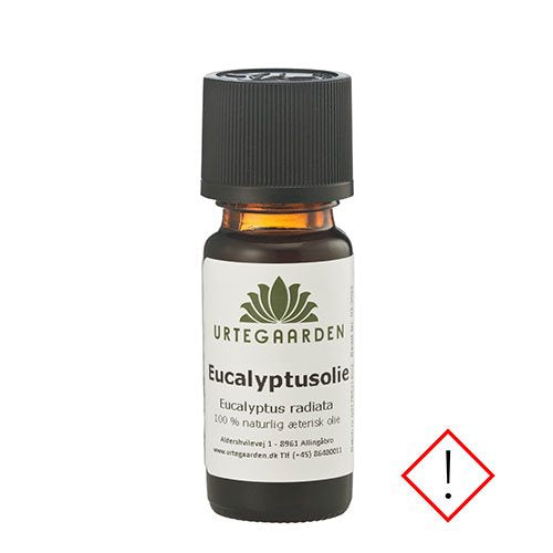 Eucalyptusolie 30ml